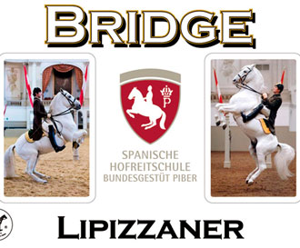 lipizzaner_262630_2d.jpg