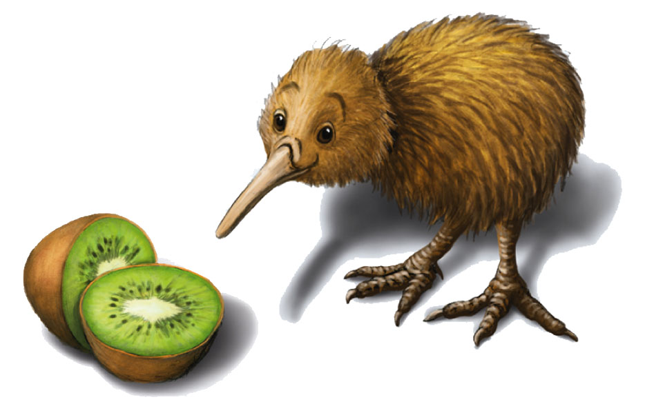 Eindeutig Zweideutig 660399 kiwi.jpg Eindeutig Zweideutig 660399 kiwi.jpg