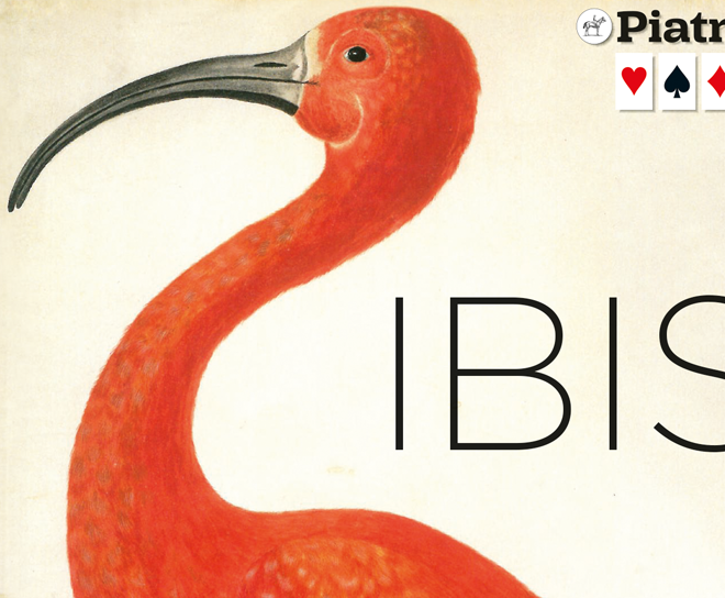 238239 Ibis Teaser Small.png