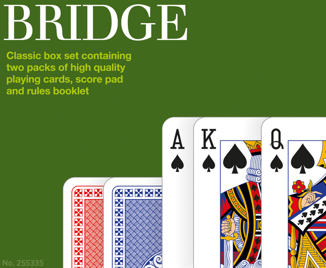 255335 Bridge Teaser Small.png