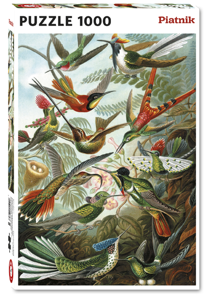 552847 Haeckel - Kolibris Hauptbild.png