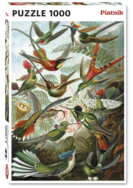 552847 Haeckel - Kolibris Hauptbild.png 552847 Haeckel - Kolibris Hauptbild.png