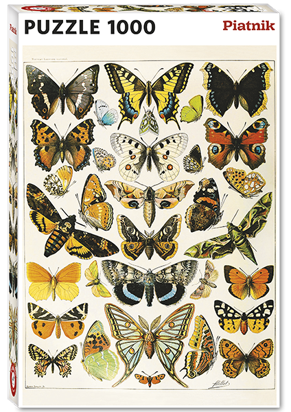 570445 Millot -Butterflies and Moths Hauptbild.png
